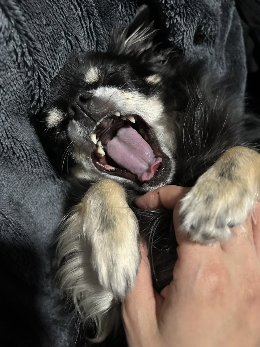 ゆかち (@ykchirista0114) / Posts / X