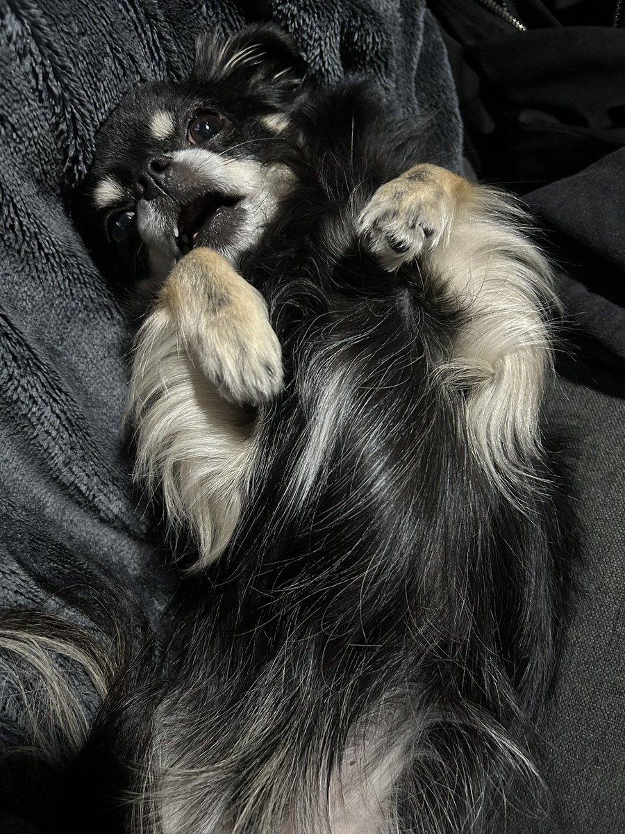 ゆかち (@ykchirista0114) / Posts / X