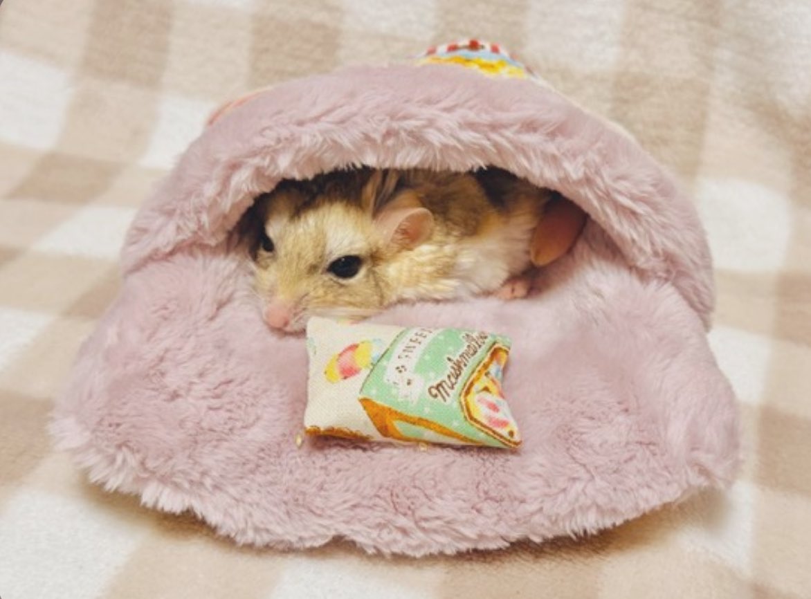 ゆっこ🐭ねずみの雑貨屋CLOVER🍀 (@nezumi3illust) / Posts / X