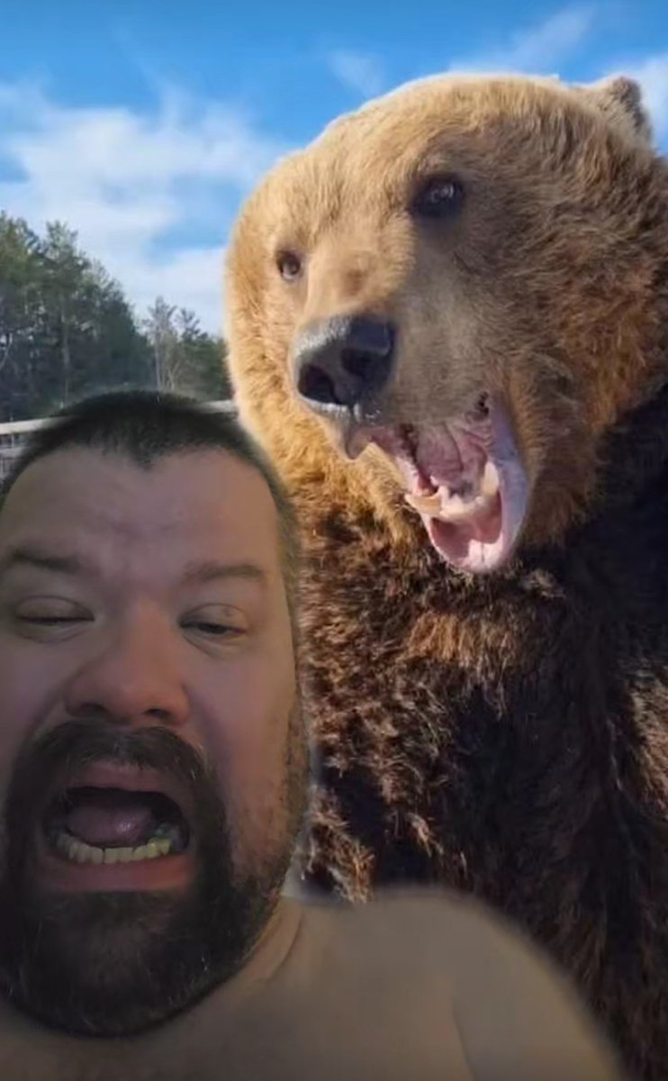 SingleDude77's tweet image. #Darealpatrickp #bear #bears
