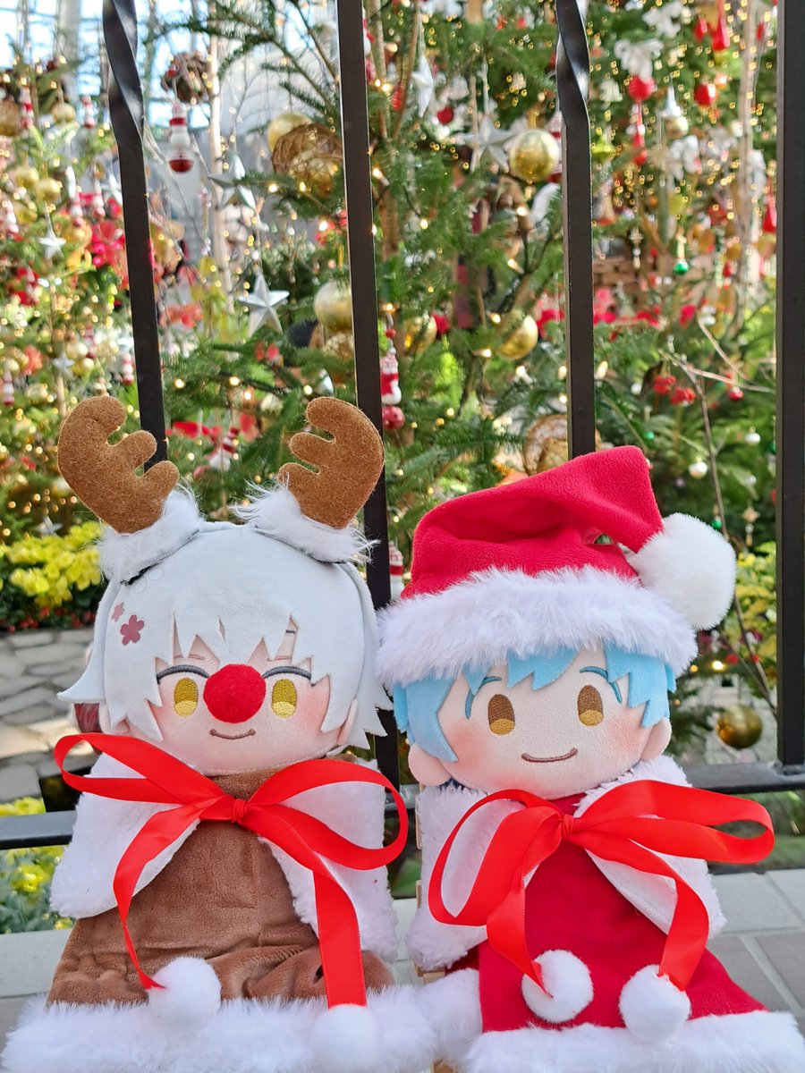 とうらぶちいさいもの達のクリスマス2025 サンタ&トナカイ待機中🎅🫎✨🎄✨