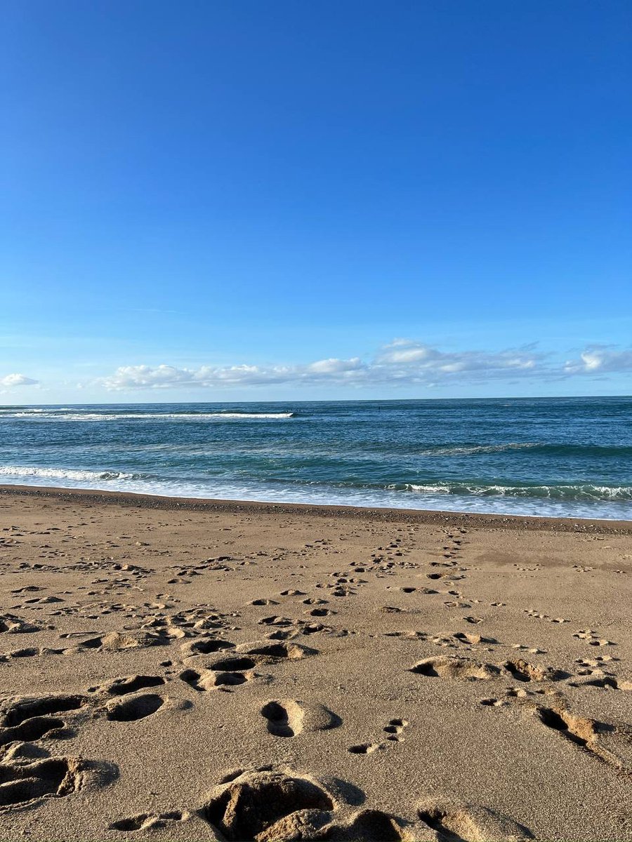 Solana_Emperor's tweet image. Gm to those who show up on weekends 🌞