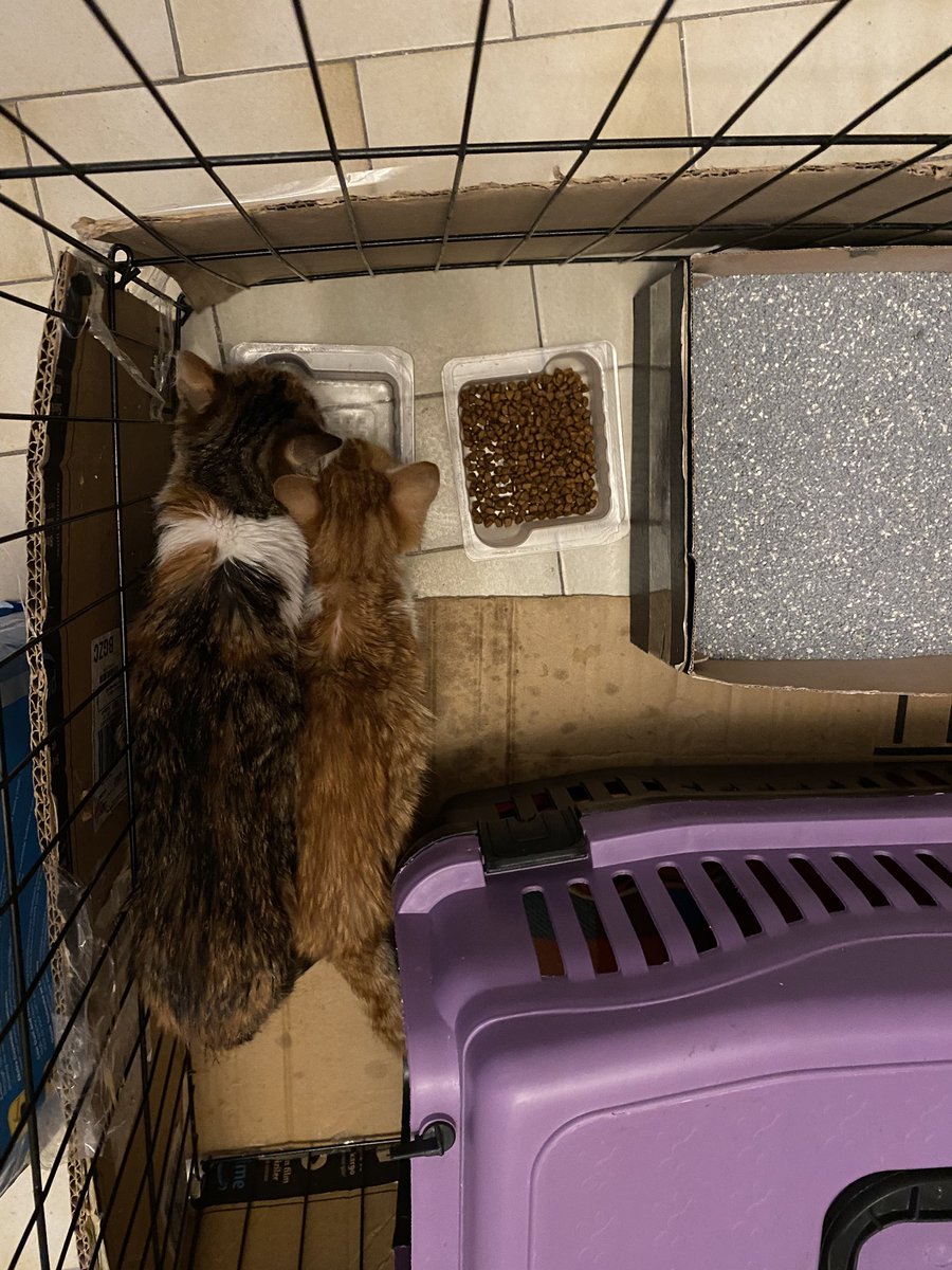 ayni kaptan su ictigimiz gibi ayni yuvaya da gidecegiz kardesim