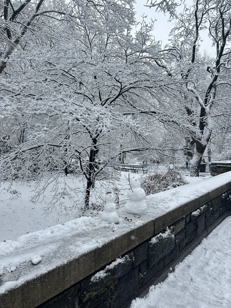 SaraSchon's tweet image. it snew!!!