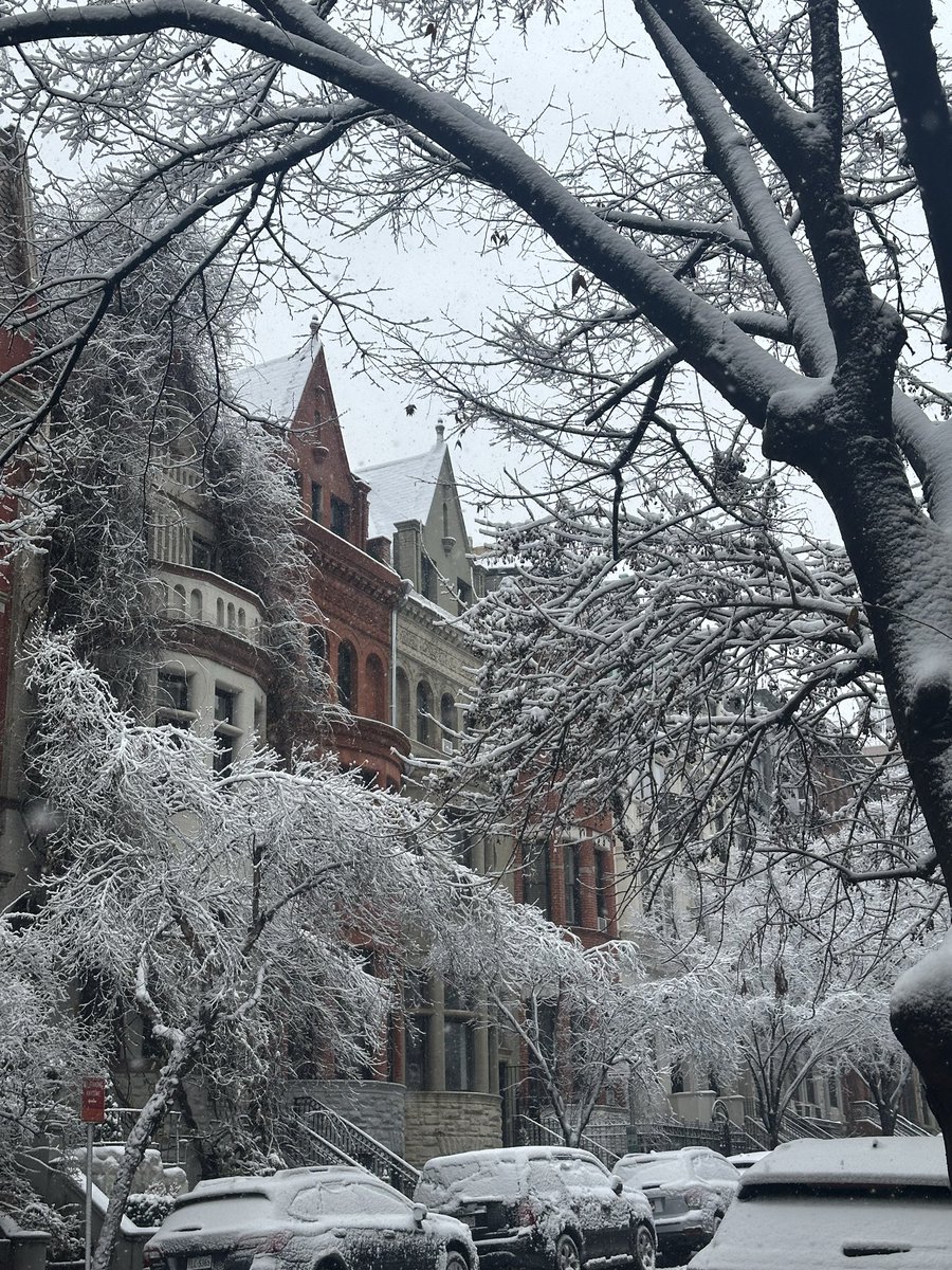 SaraSchon's tweet image. it snew!!!