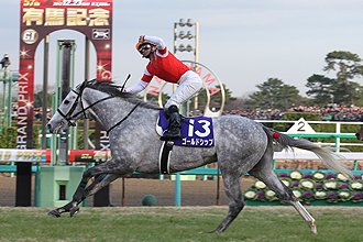 ゴールドシップ