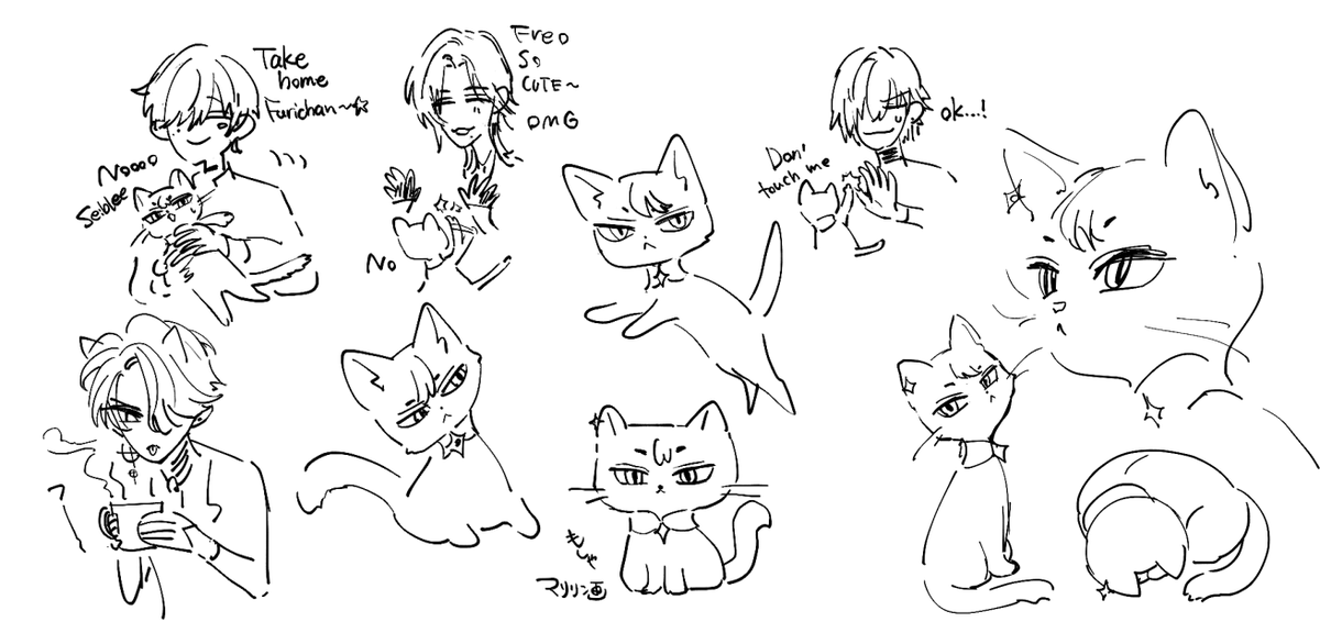 nilllirr's tweet photo. 🐱 https://t.co/bRqKoLVzc3