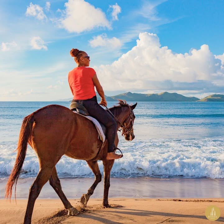 DanielRes2025's tweet photo. Sunrise rides, ocean breeze, and views that steal your heart.
In Nevis, even a simple moment turns into an unforgettable experience.

✨ Own your piece of paradise today.
🔗 https://t.co/AHg8l9gR16

#DanielResidences #NevisIsland #CaribbeanLiving #BeachLife #LuxuryLifestyle https://t.co/bzdRQWzZkJ