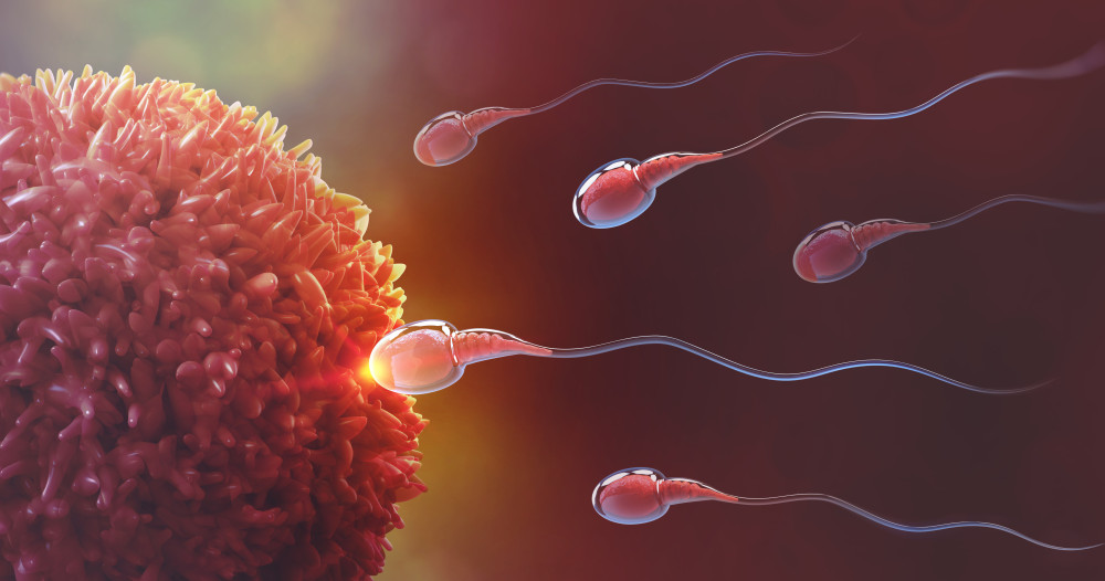 L'Encyclopédie tweet media