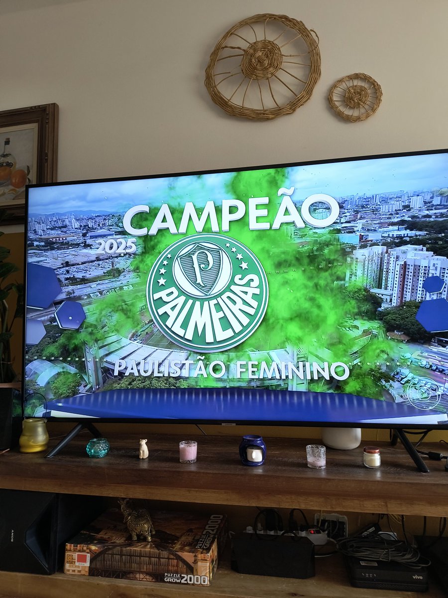 C A M P E Ã O