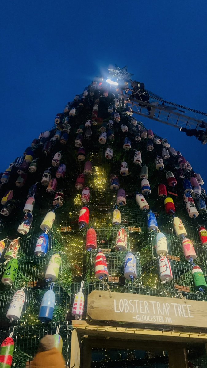 Sefatia Romeo Theken tweet media