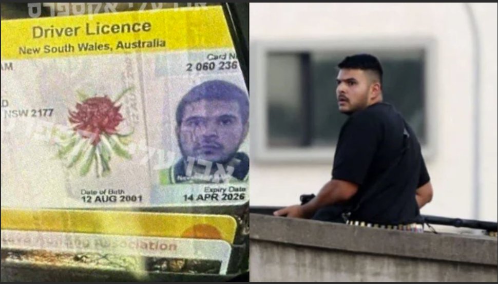 SIGHNSIGHN (@sighnsighn) / Posts / X