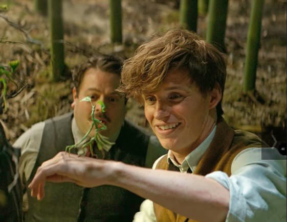 이거... 오직 > 뉴트 스캐맨더< 이기때문에.. 반대도 어울림
내 마음은 알고도 모른척하는건지 걍 ㄹㅇ 신비한동물밖에 모르는 남잔건지

... 근데 전자일듯..ㅅㅂ

ㅎㅎ 제 생각이요? 왜..ㅎㅎ:)
(뭐래 내가 너 생각을 왜해)                           ...♥️