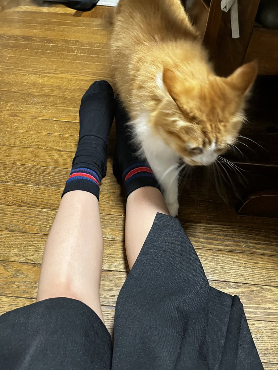 チャコ⊿ (@chacco_88) / Posts / X