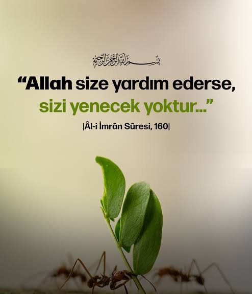Hüseyin Burgulu (@h_burgulu) on Twitter photo 