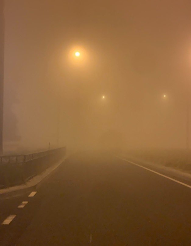 keijumussarela's tweet photo. I love when it's foggy like this in the ash https://t.co/KoMf637n5l