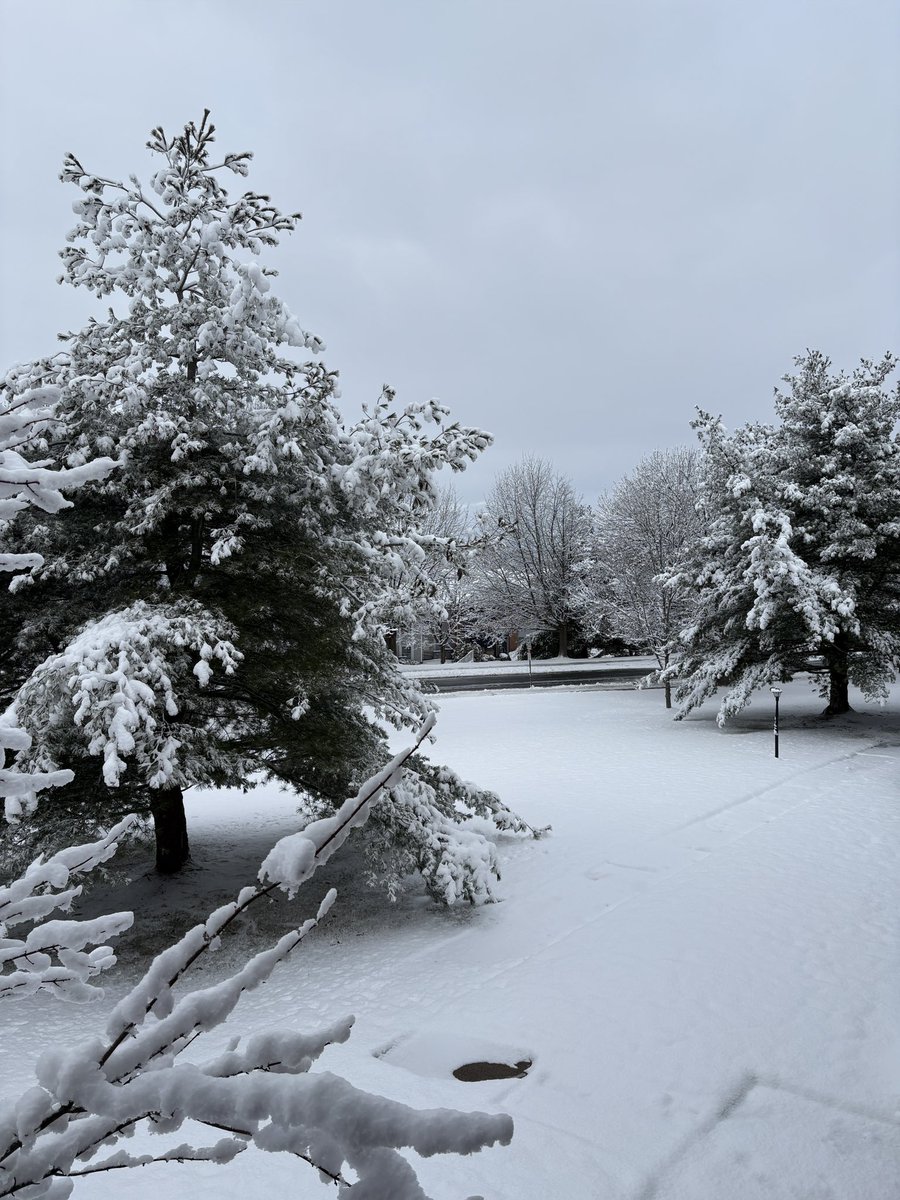 mkilpatrick_'s tweet image. ☃️❄️🌨️