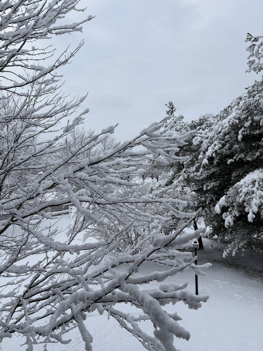 mkilpatrick_'s tweet image. ☃️❄️🌨️