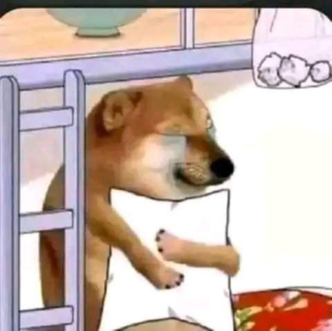 capbara1's tweet image. eu sonhei que o Vasco ganhava hj de 4 x 0 com gol do Coutinho