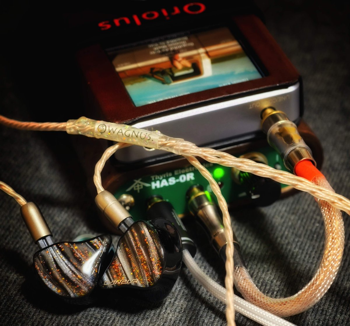 Wagnus._discipulus (@Toru_wagnus) / Posts / X