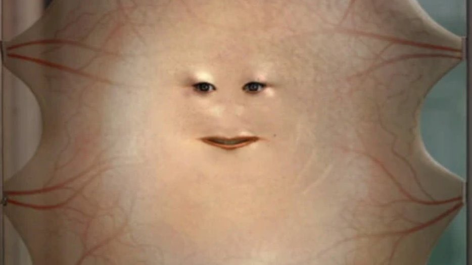 dudusoeiro's tweet image. o peso de ser o filho que nunca deu trabalho e agora viver meus 17 anos com quase 21 🤩