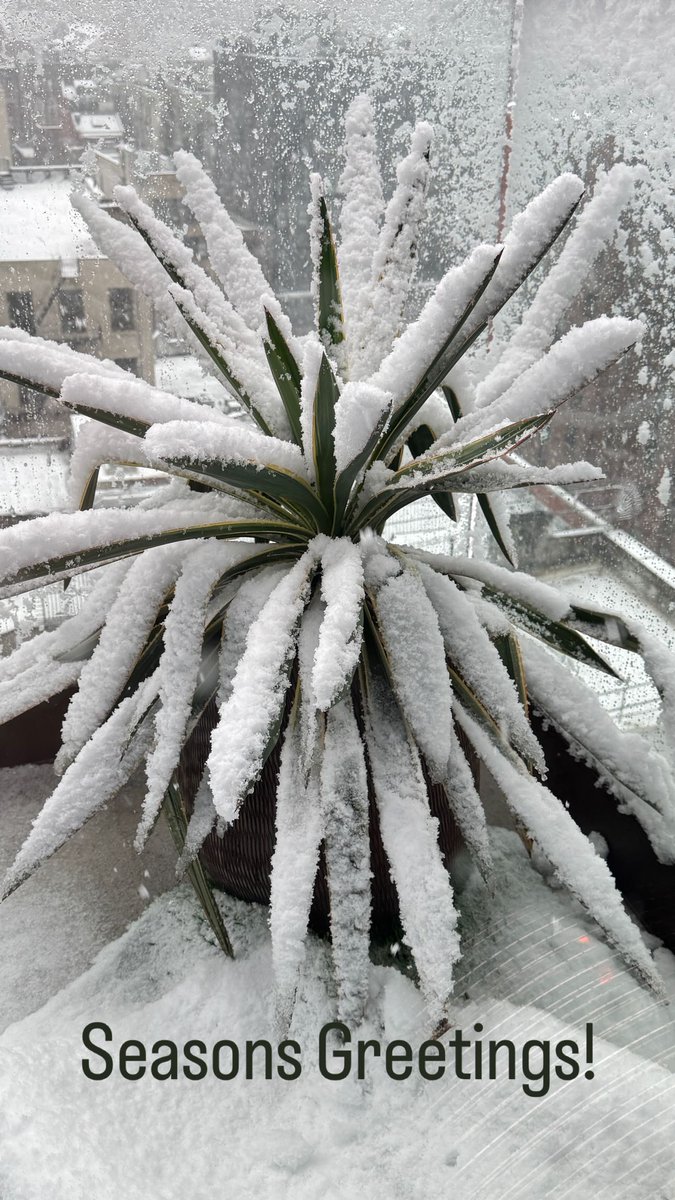 New <a href="/adamlambert/">ADAM LAMBERT</a> story: "Seasons Greetings" ....snowing in NYC! Pharaoh will not be happy! ❄️🐕❄️