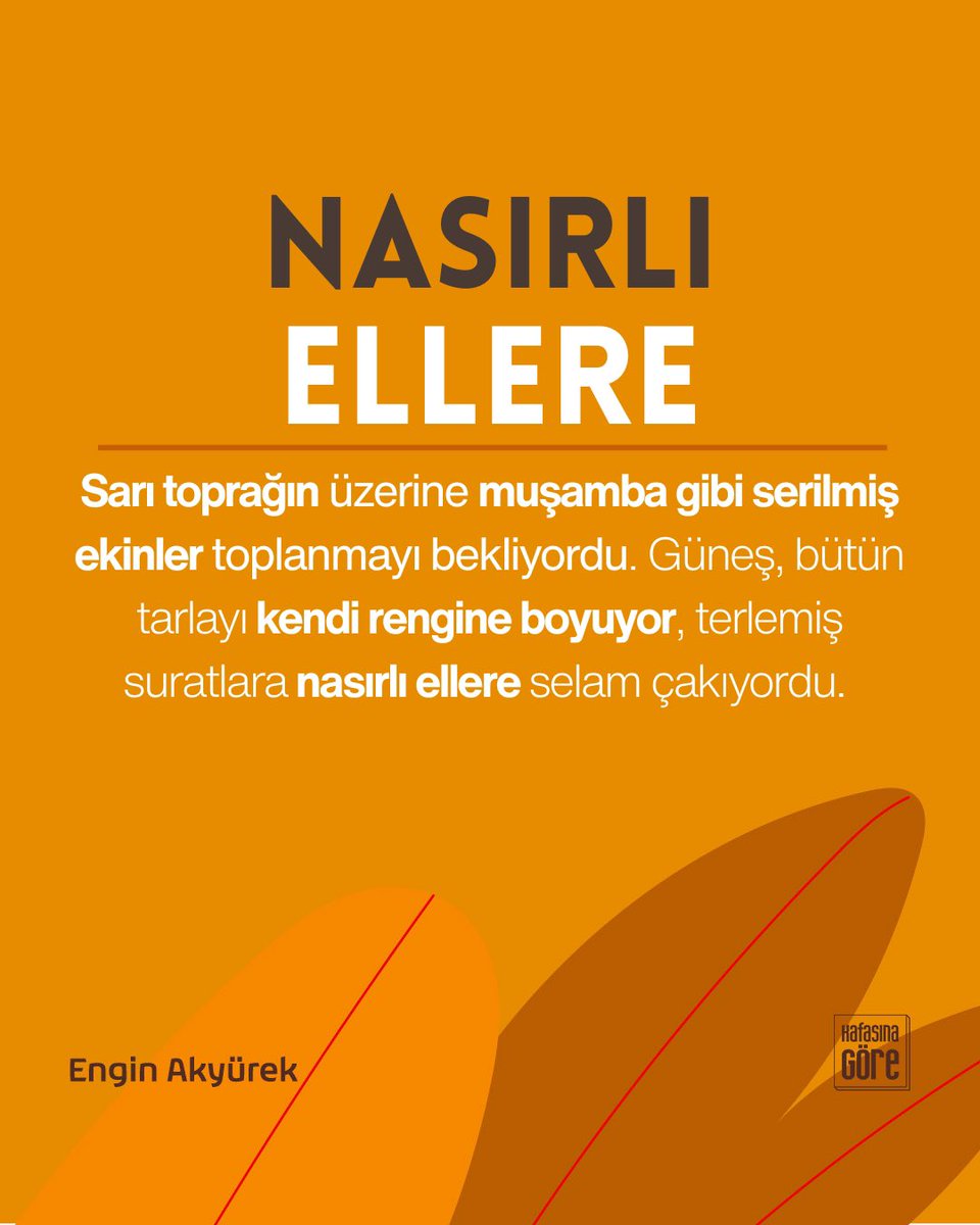 Sarı toprağın üzerine muşamba gibi serilmiş ekinler toplanmayı bekliyordu. Güneş, bütün tarlayı kendi rengine boyuyor, terlemiş suratlara nasırlı ellere selam çakıyordu. 
#EnginAkyürek

#KafasınaGöreDergi 
#Kasım - #Aralık sayımızda yazdı!