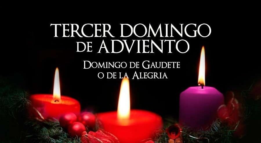 Hoy en el Tercer Domingo de Adviento

“Los ciegos ven, y los cojos andan”

San Mateo 18, 12-14
