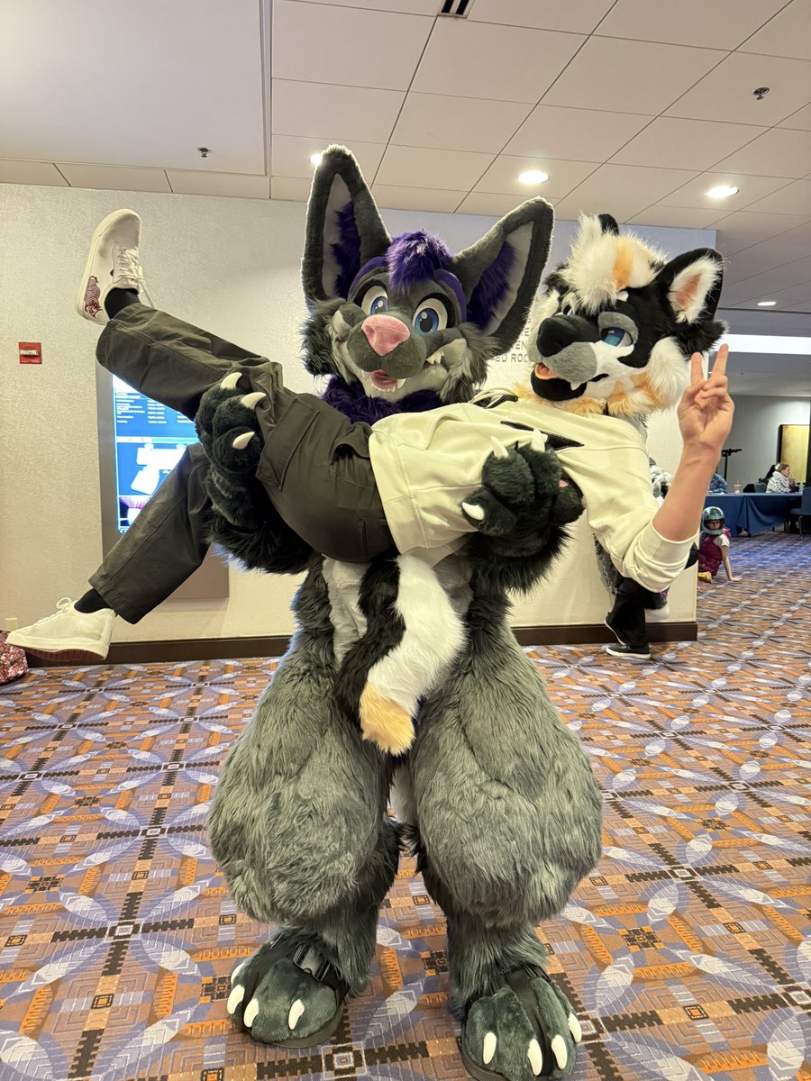 Hugz_N_Snugz's tweet image. Everyone could use a “pick-me-up.”😜

I couldn’t tag @AFFLUENTMINT. Tag anyone whom I missed at #MFF2025!

🐺: @MoreFurLess 
Handler/📸: @WanderingWarlok