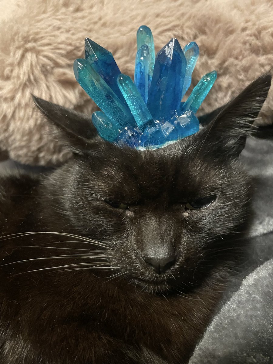 猫まんまページ 猫まんま 猫まんま 猫まんま カード検索 ｜ Z/X - Zillions of enemy X