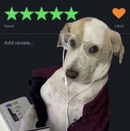 Stvn 🧉 tweet media