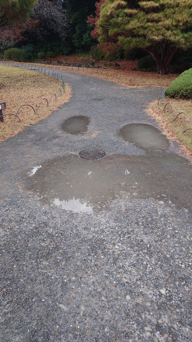 RIN． (@rinnrinn8888) / Posts / X