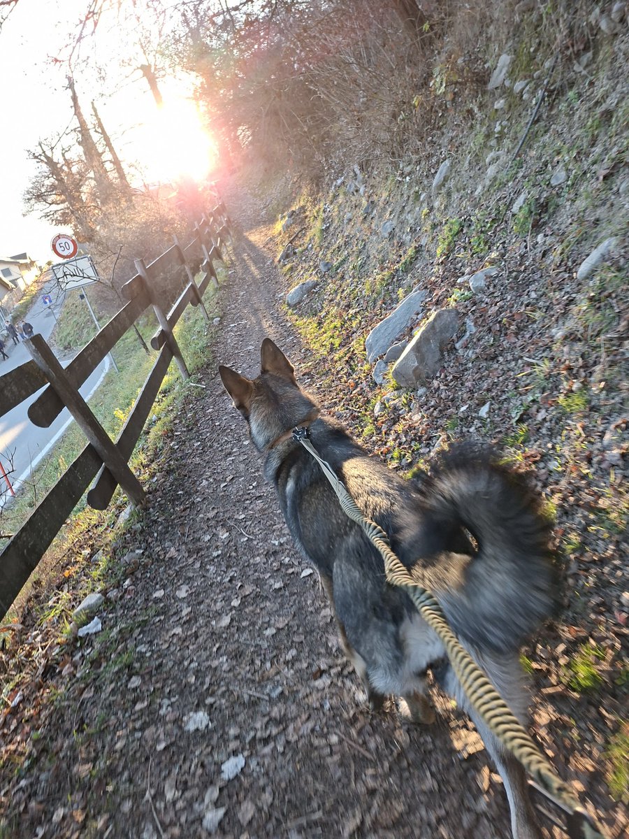 neutral_af's tweet image. Alone time with Vi