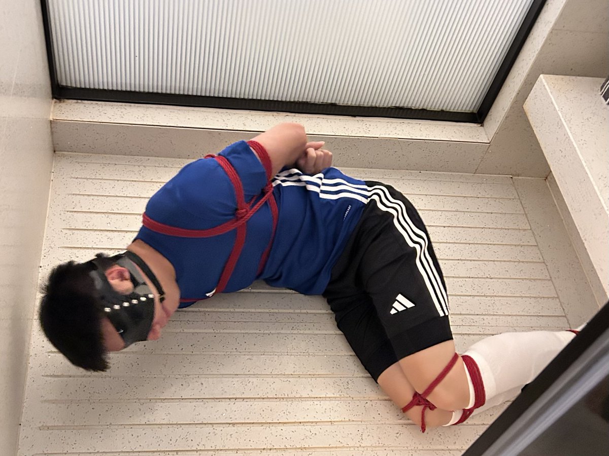 小Z又被上锁 tweet media