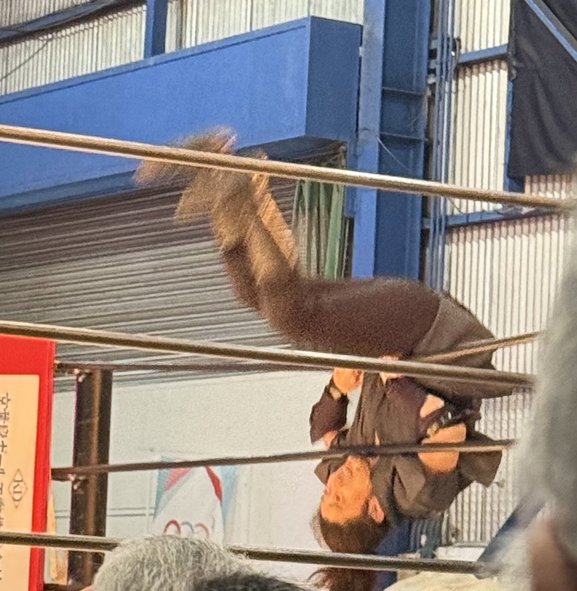 あー楽しかった　※写真お借りしました