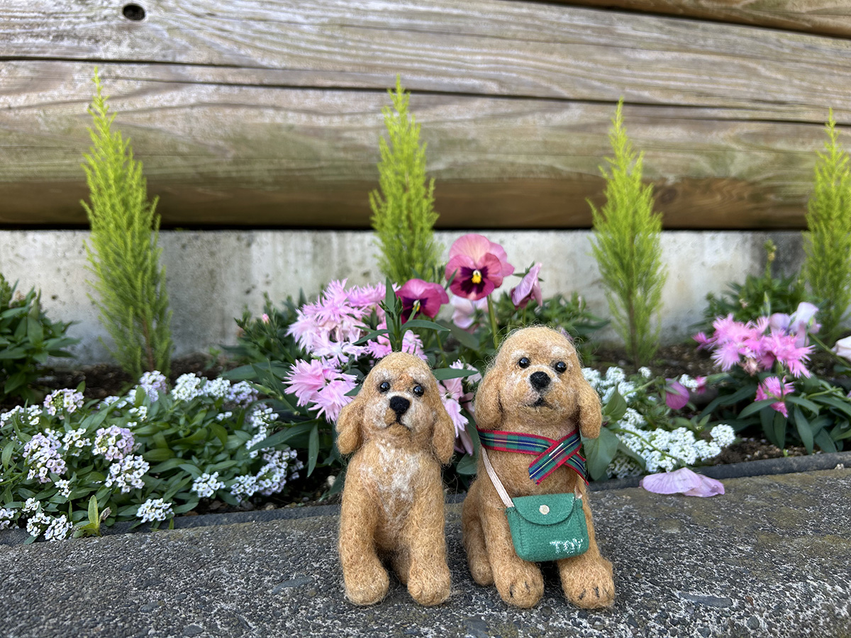 めるも「ボク うぃん、弟はエア 妹はエイル よろしくね めるも「ボク うぃん、弟はエア 妹はエイル よろしくね