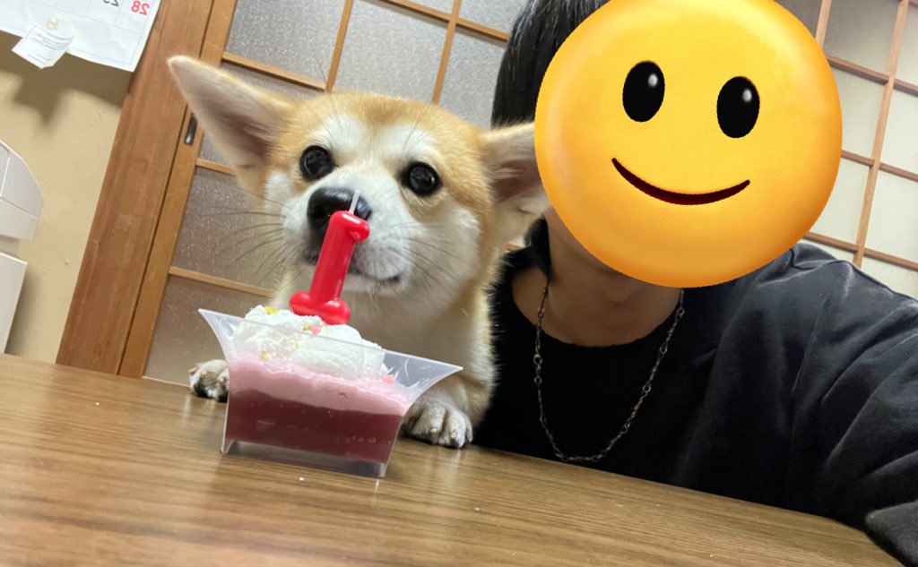 その他 anonymous4 2025-02-17-blog-mix-thumb.jpg