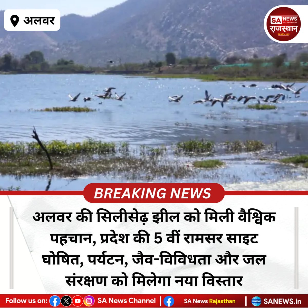 SANewsRajasthan's tweet photo. News-अलवर की सिलीसेढ़ झील को मिली वैश्विक पहचान, प्रदेश की 5 वीं रामसर साइट घोषित, पर्यटन, जैव-विविधता और जल संरक्षण को मिलेगा नया विस्तार
#SiliserhLake #RamsarSite #AlwarNews
#RajasthanNews #WetlandsOfIndia
#Biodiversity #WaterConservation https://t.co/HI06tHG2YG