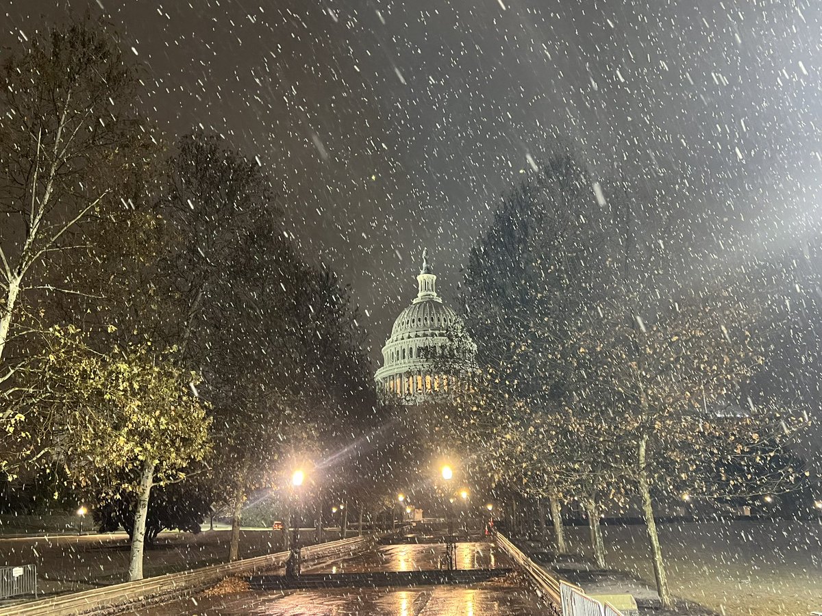 RiverGirl707's tweet image. #Snow falling on Sunday morning at the Capitol in # DC! @capitalweather @StormHour