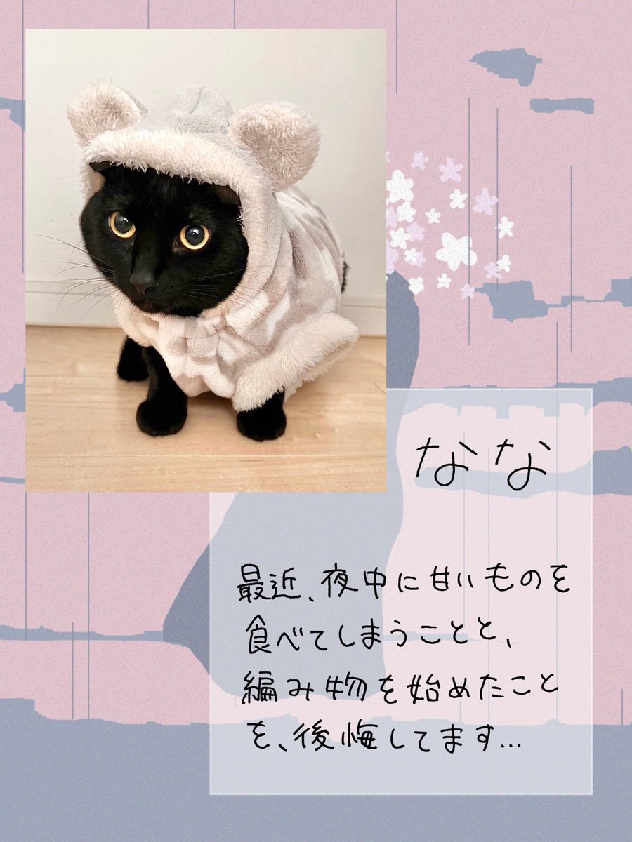 2025年度冬ユニット公演のスタッフをご紹介します💁‍♀️

本日は制作の紹介です✨
これまでの人生で後悔したことについて聞いてみました！

予約管理やSNS投稿などから公演を支える制作にぜひご注目ください👀

ご予約はこちらから💁‍♀️
forms.gle/mbf45FsR9HDQ1k…
皆様のご来場お待ちしております☺️