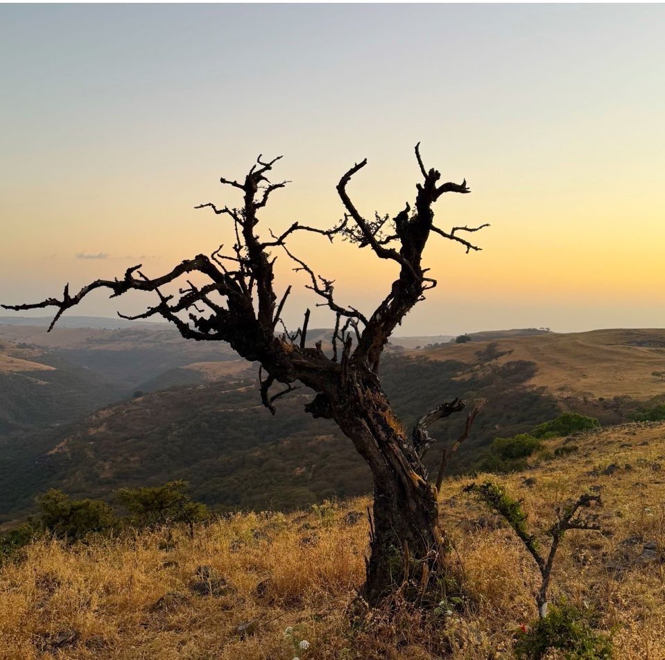 تمر على المؤسسات فترات عصيبة 
يتداركها الموظف والمسؤول معاً كفريق واحد
ولكن عندما يبدأ موسم الحصاد 
تغيب روح الفريق وتسود الأنانية 
ويبدا المسؤل الفاشل بوضع عراقيل ليسود السخط والجُبّن والبخل لتعود سنوات العجاف..ويكون سببها خطأ إداري.
#من_ظفار 
 #شرطه_عمان_السلطانيه