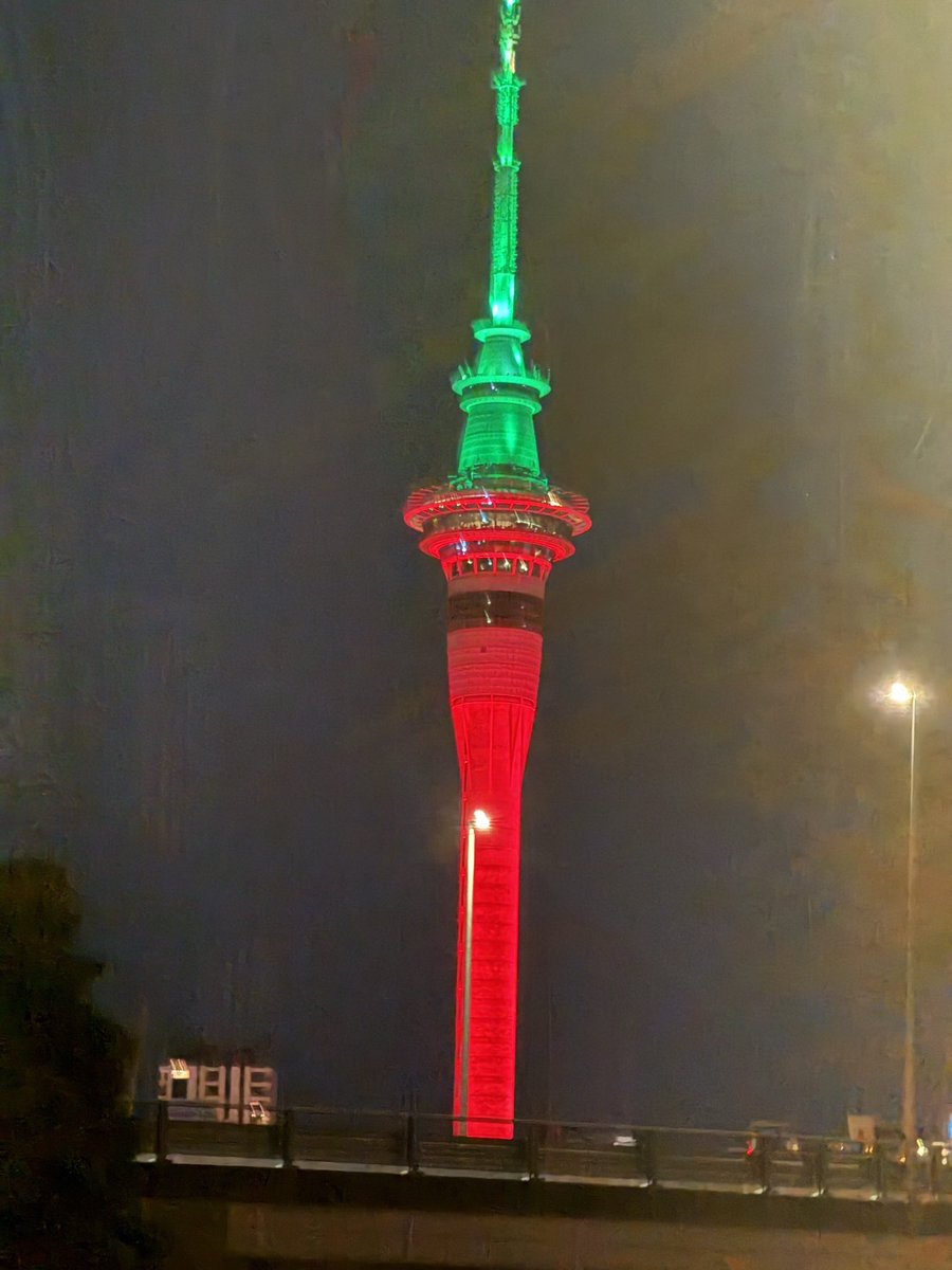 n zオークランドのクリスマス🎄🤶使用素敵💓