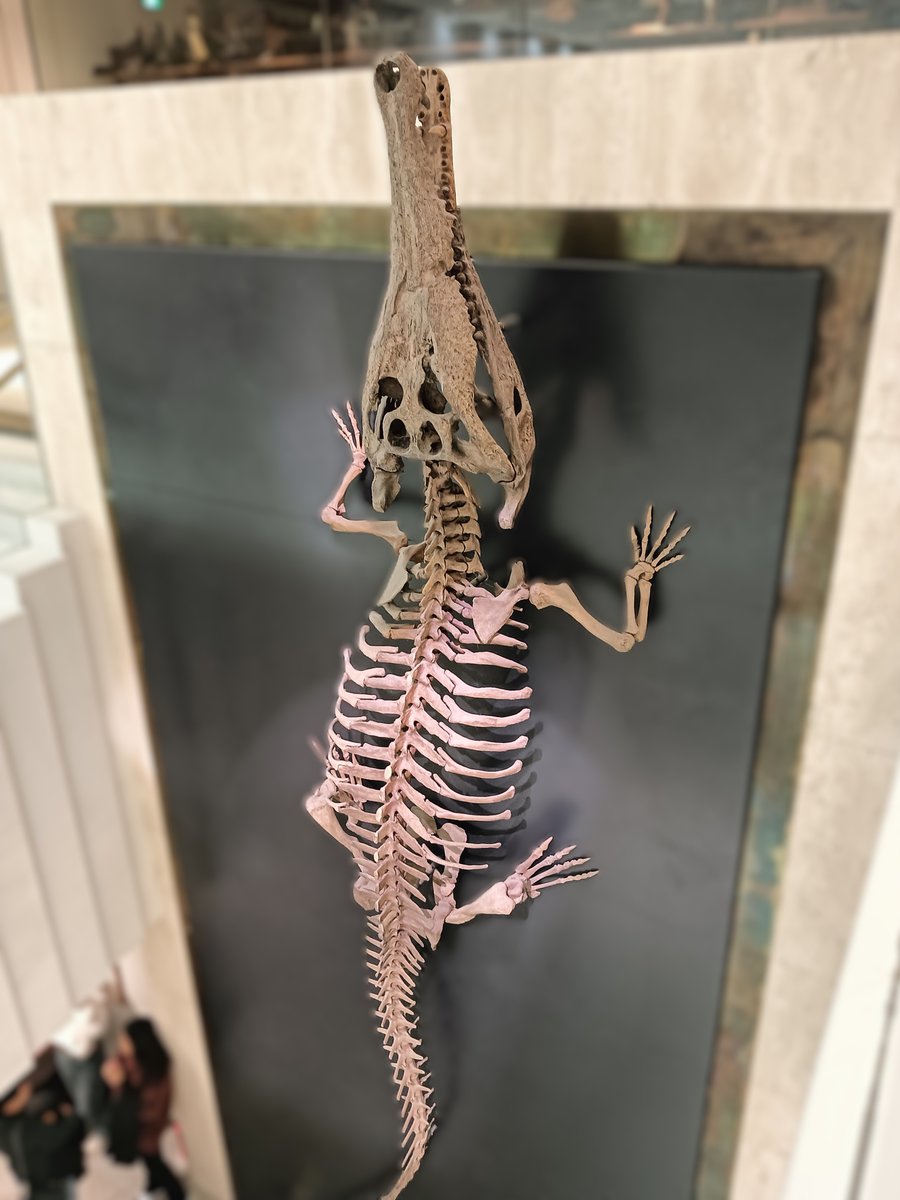 ちえぞー (@owari_chiezo) / Posts / X