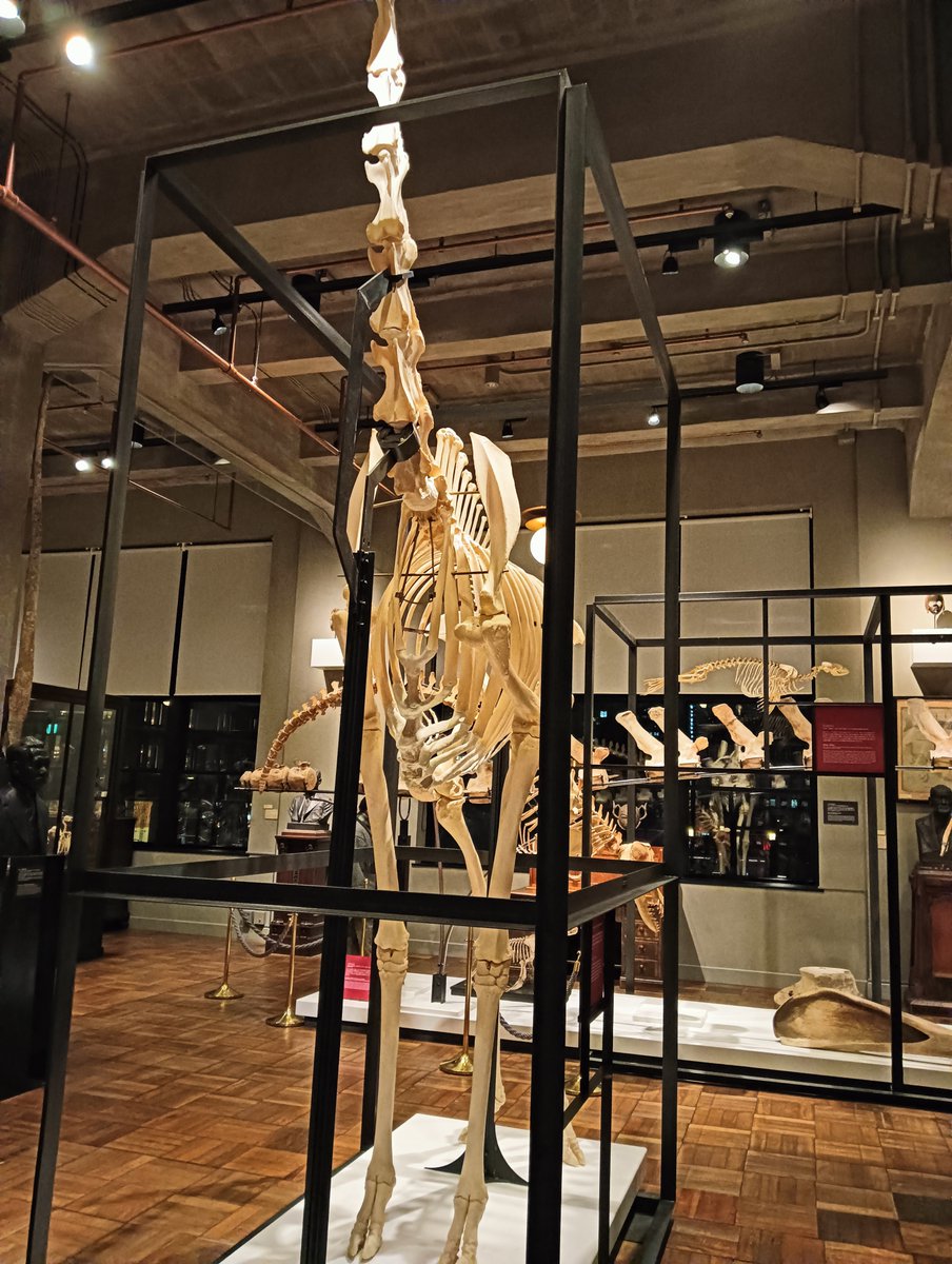 ちえぞー (@owari_chiezo) / Posts / X