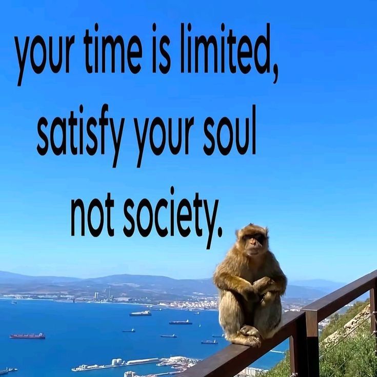 culture jpeg (@culturejpg) on Twitter photo 