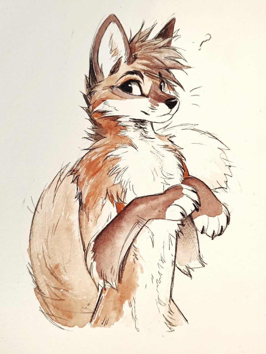 KitaKettu's tweet photo. Who's gonna tell him? 🦊 https://t.co/xyAuta7lHp