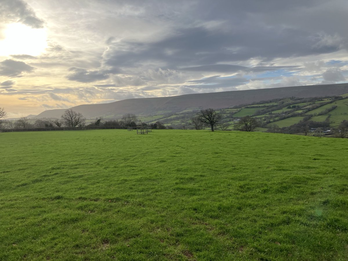The Hatterals suitably resplendent for the Third Sunday of Advent