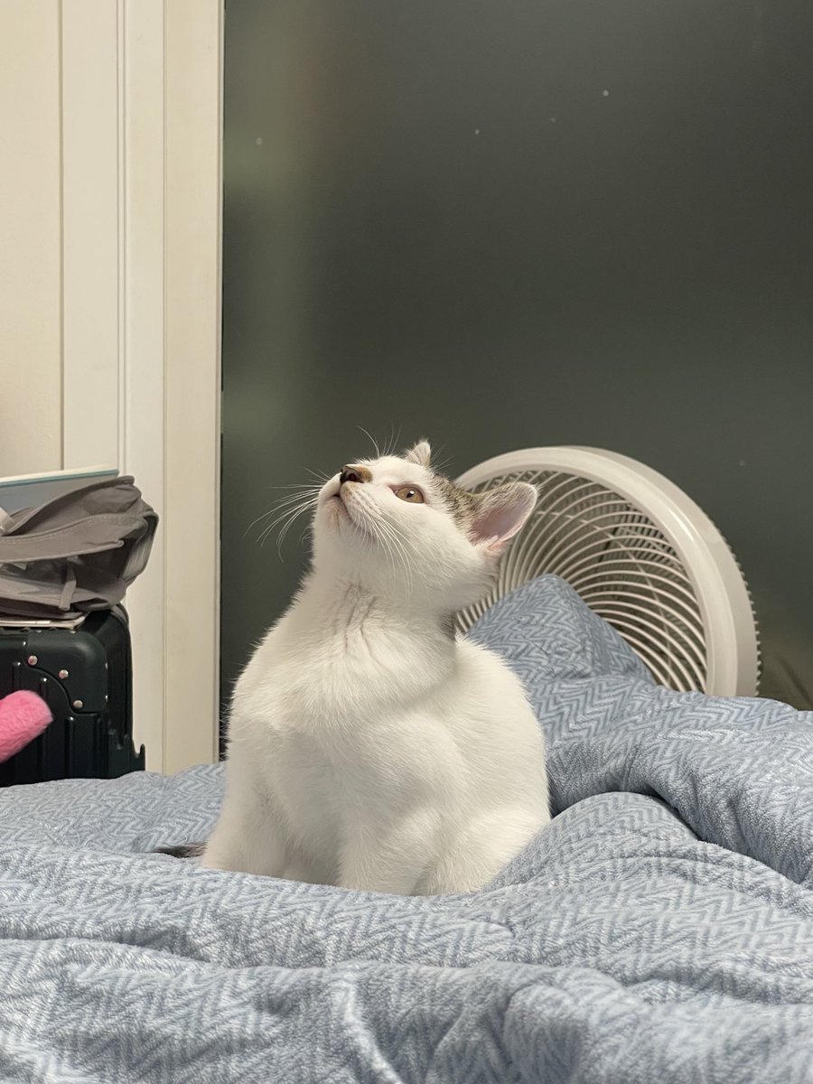 순대야 데뷔하자