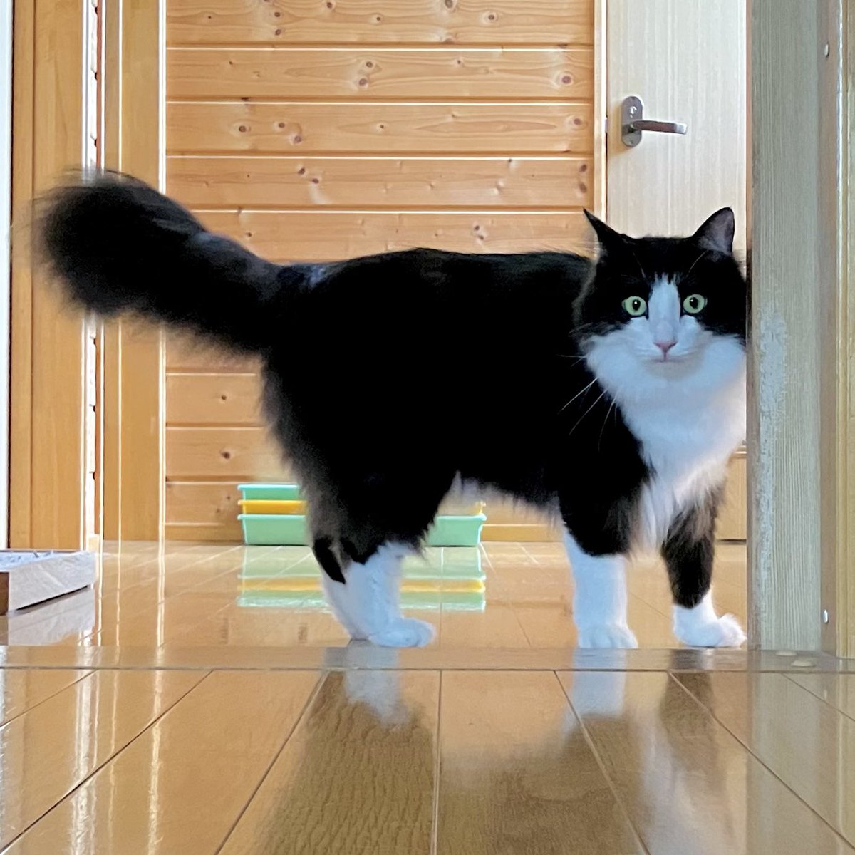 Poco218's tweet photo. 夏← →冬 https://t.co/rfJGBkdMRP