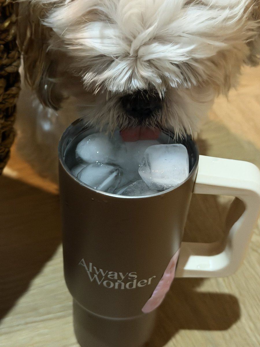 ฉันไม่ได้เทให้เธอ